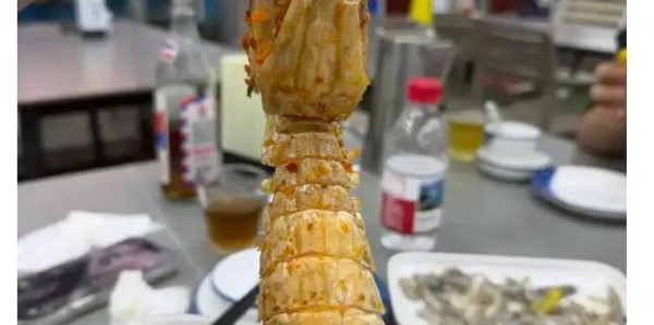 开云官网-4只皮皮虾事件后续：出租车司机被开除，顾客坚持认为司机收了钱